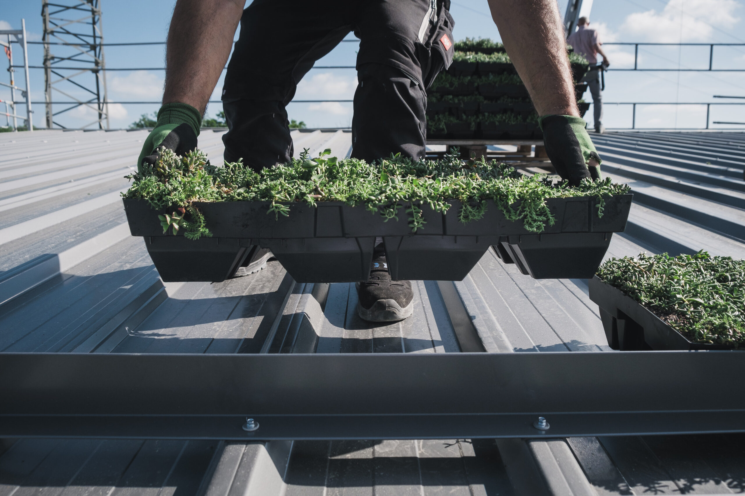 De Greenbox van SAB in de Telegraaf